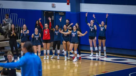 VB Bench