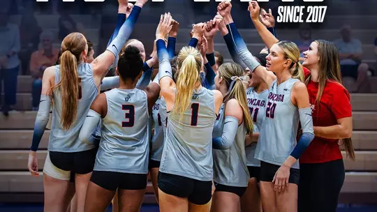 Volleyball Graphic