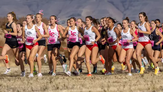 Women's Cross COuntry