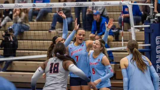 Volleyball Win