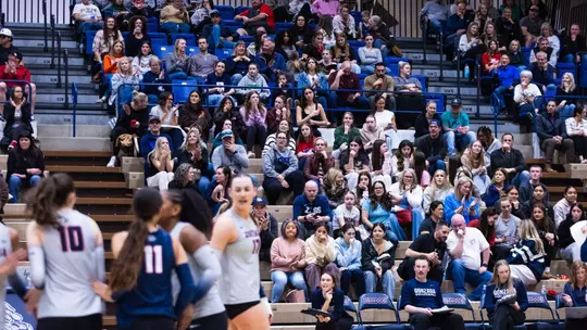 Volleyball Crowd