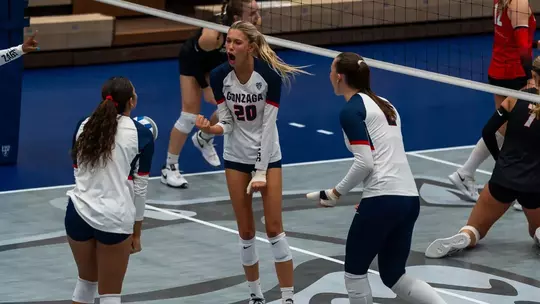 Volleyball Win