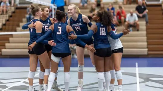 Volleyball