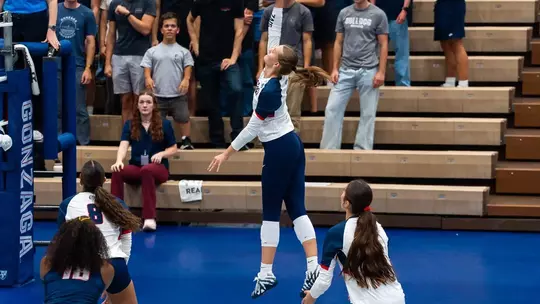Volleyball