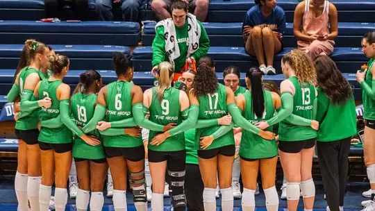 VB Team