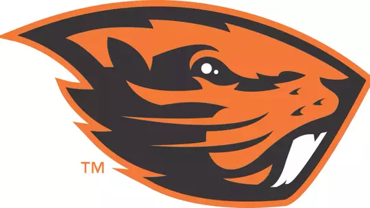 Beaver Logp