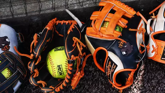 Softball gloves
