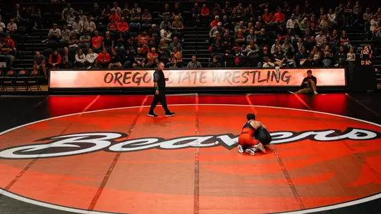 WRE - orange and black