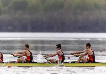1v8