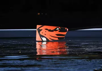Blade of an oregon state women's rowing oar.