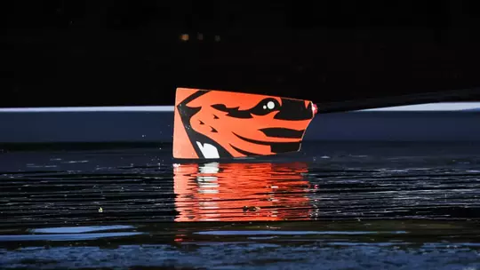 Blade of an oregon state women's rowing oar.