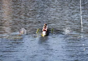 Men's Rowing