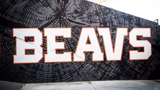 Beavs