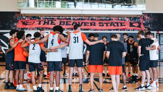 Team