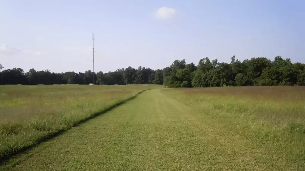 Pole Green Park - Cross Country
