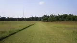 Pole Green Park - Cross Country