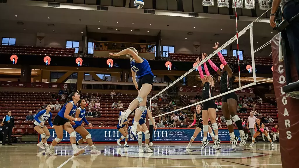 Vball-Campbell