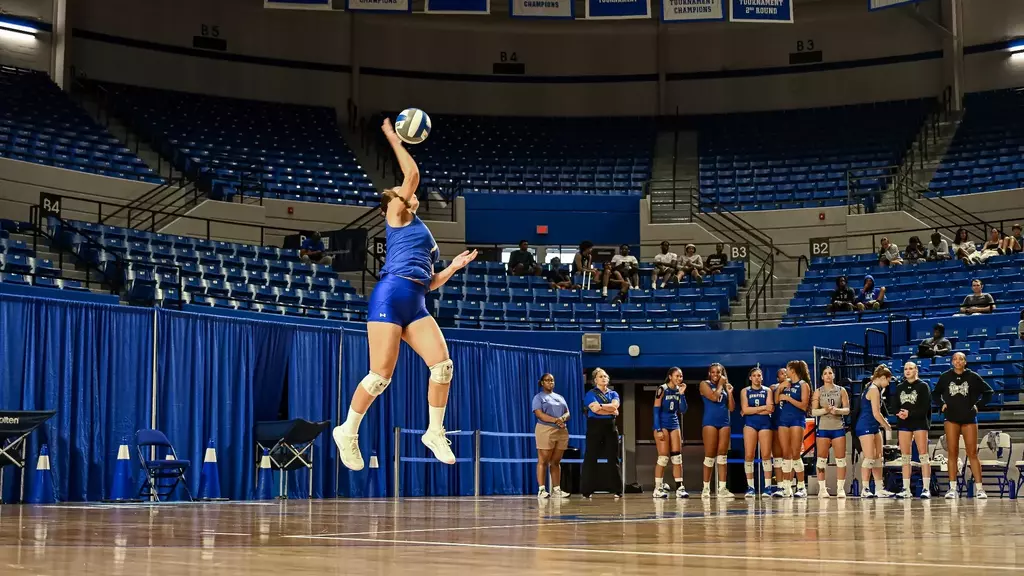 VB