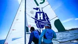 sail