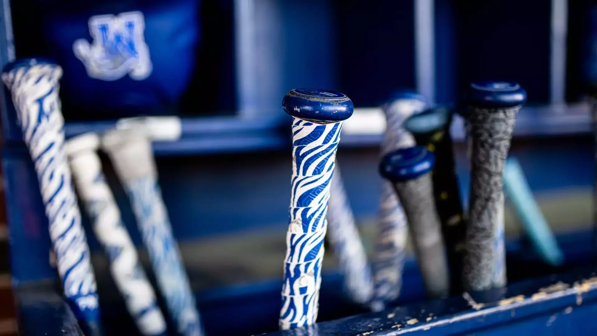 Memphis Baseball stock image, bats