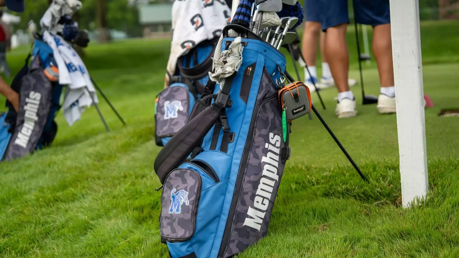 Golf Picture