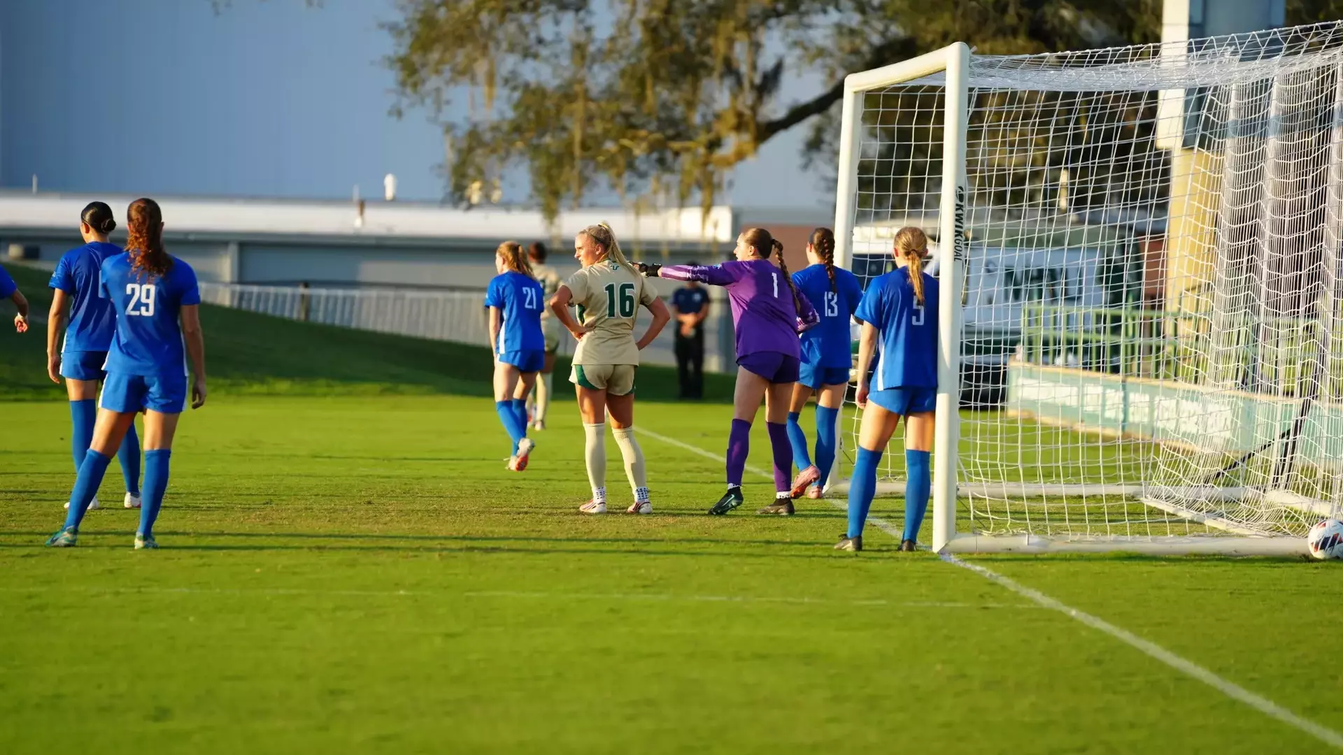 WSOC at USF
