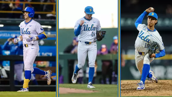 CholowskyReddemannMoss