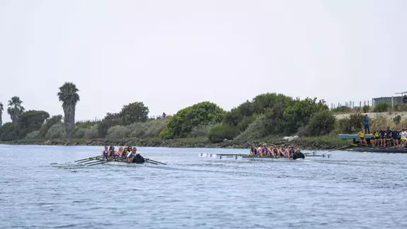 Women's Rowing