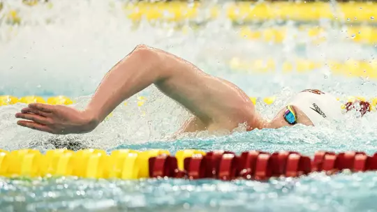 Indiana Swimming and Diving