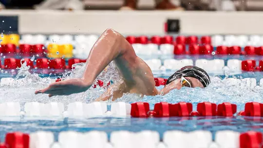 Indiana Swimming and Diving