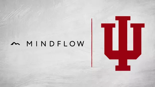 Mindflow Partnership