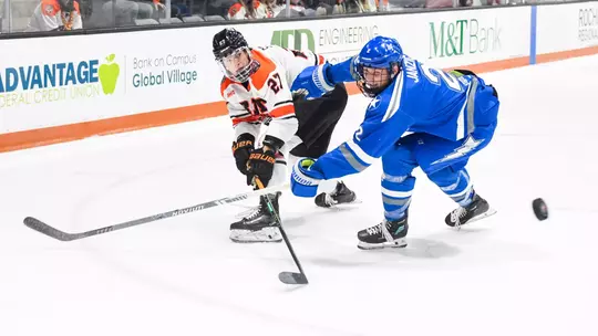 Image related to RIT sweeps series with 7-3 win in series finale