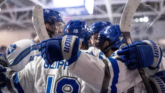 Image related to Wasik stops 21 in 4-1 win over Robert Morris