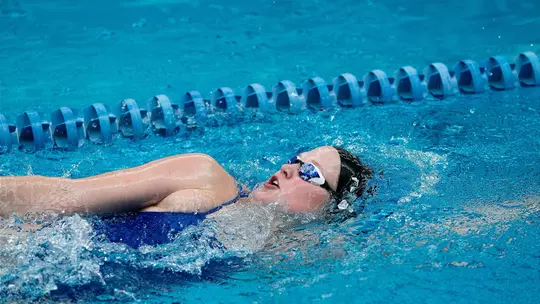 Image related to Women's Swim & Dive Hosts Denver and Washington State in First Home Meet