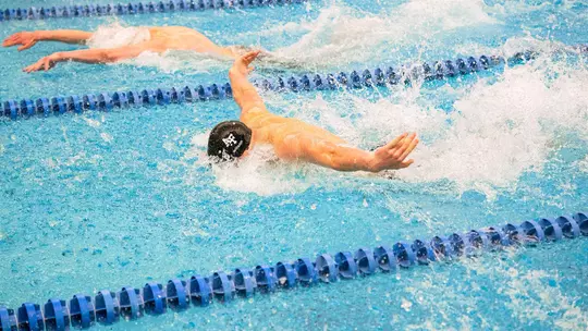 Image related to Swimming & Diving Set to Compete at Denver First Chance Invite