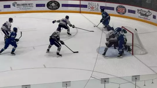 Image related to Rally falls short in 4-2 loss at Niagara