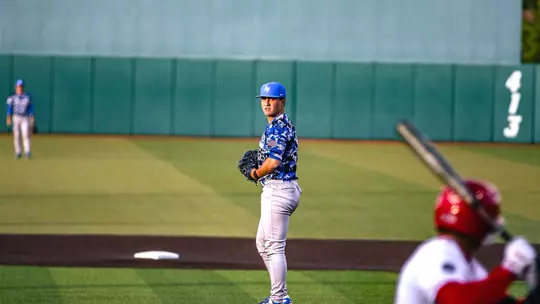 Image related to AF Baseball Falls Short in Series Opener at New Mexico
