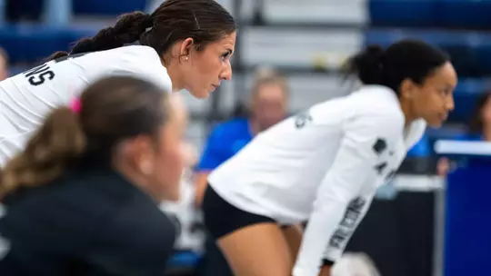 Image related to Falcons to Play Three Matches at South Dakota Classic