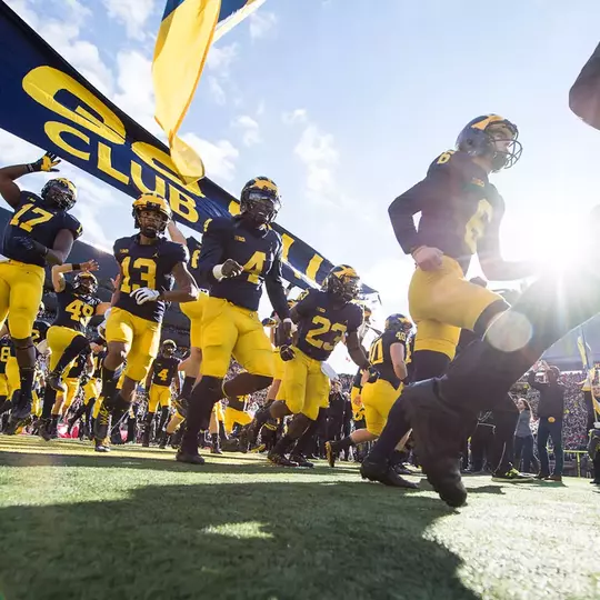 Go Blue Banner Generic