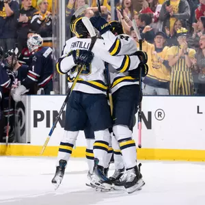 Ice Hockey Goal Celebration