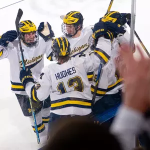 Ice Hockey Goal Celebration