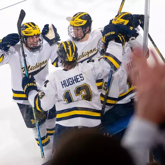 Ice Hockey Goal Celebration