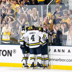 Ice Hockey Goal Celebration