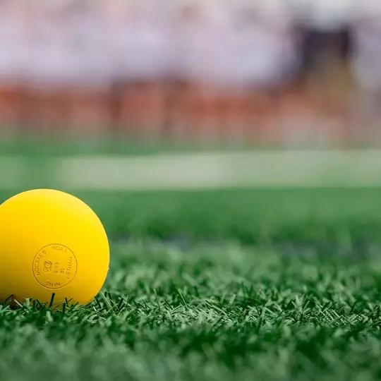 Women's Lacrosse Ball Generic