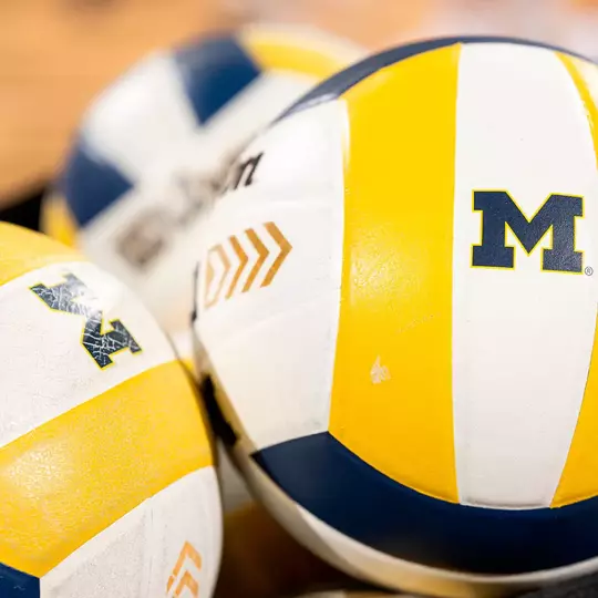 Volleyball Balls Generic