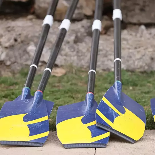 Rowing Michigan Oars Generic