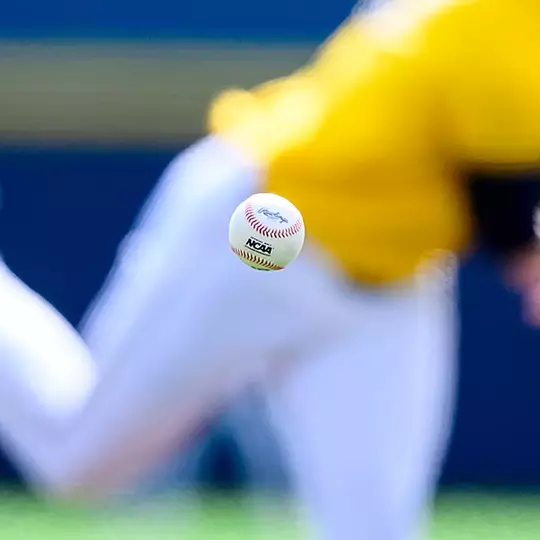 Baseball in Flight