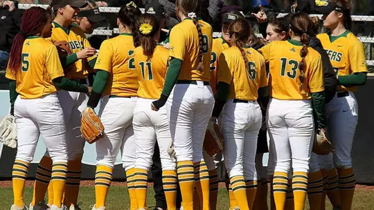 Team Huddle (Wagner)