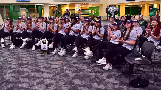 VB Selection Reaction (2025)