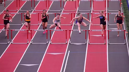 Molly Spiker (Steemer Showcase 26)